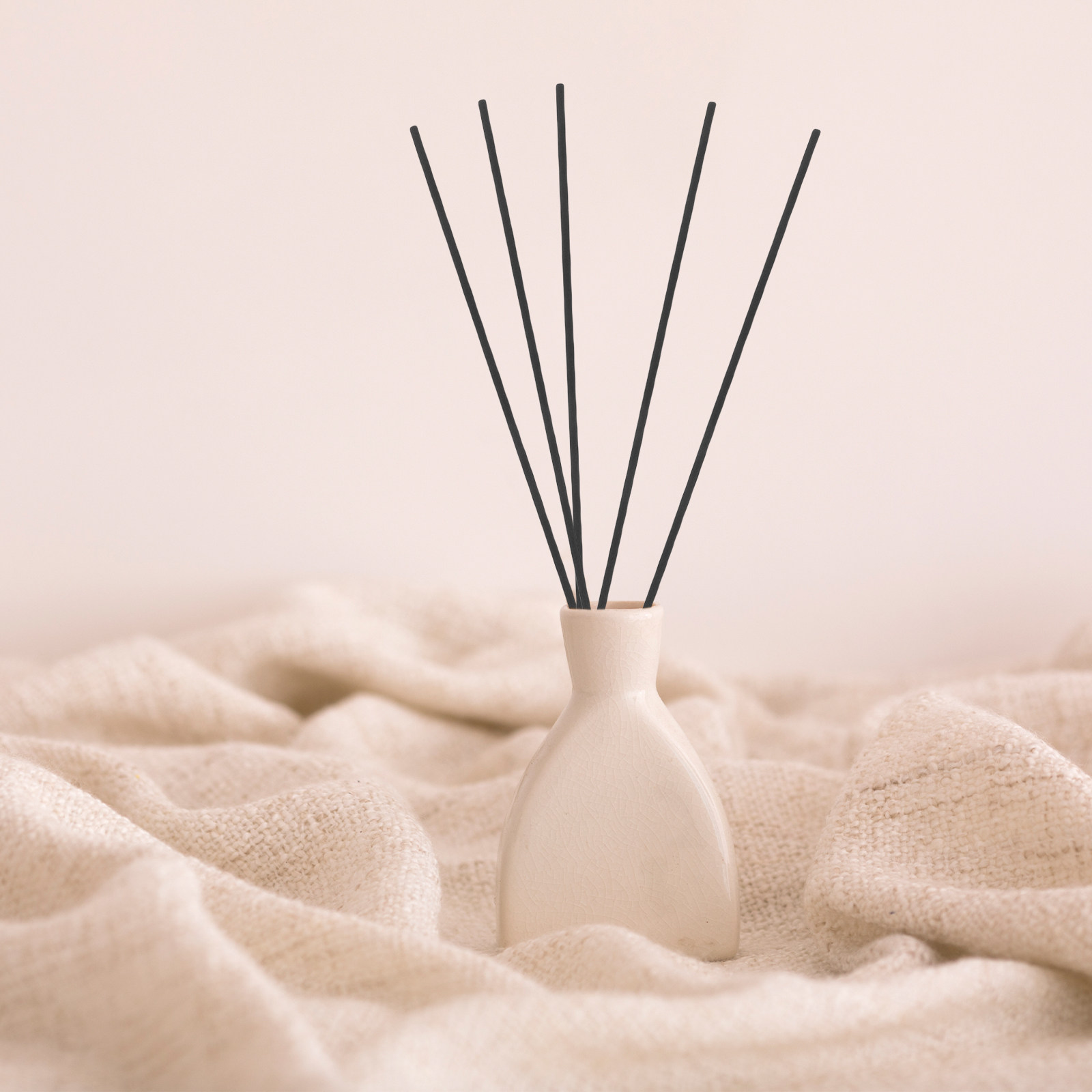 100Pcs Black Fiber Reed Diffus - مراجعة Home Fragrance Diffusers وسعره