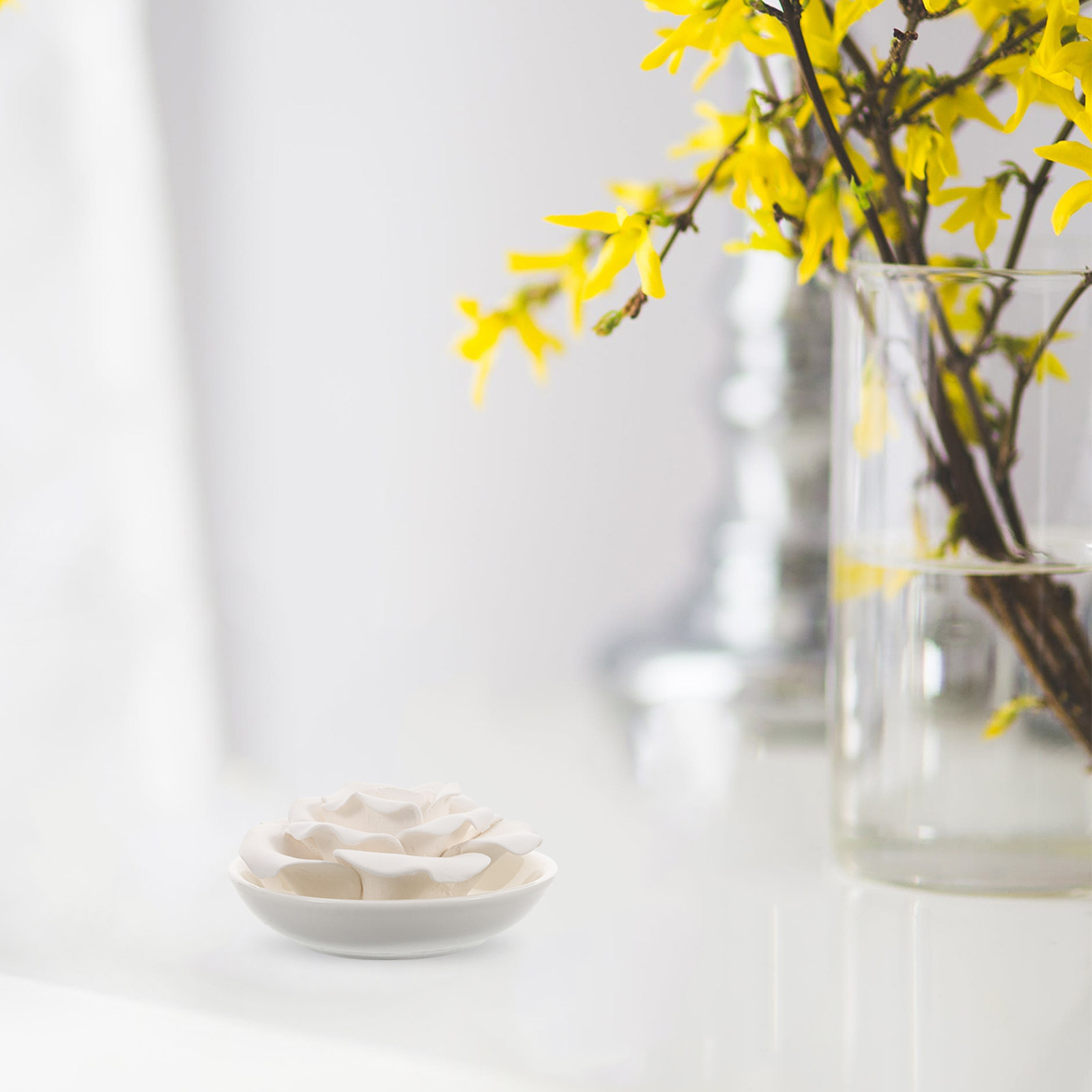 Portable Essential Oil Stone D - مراجعة Home Fragrance Flowers وسعره