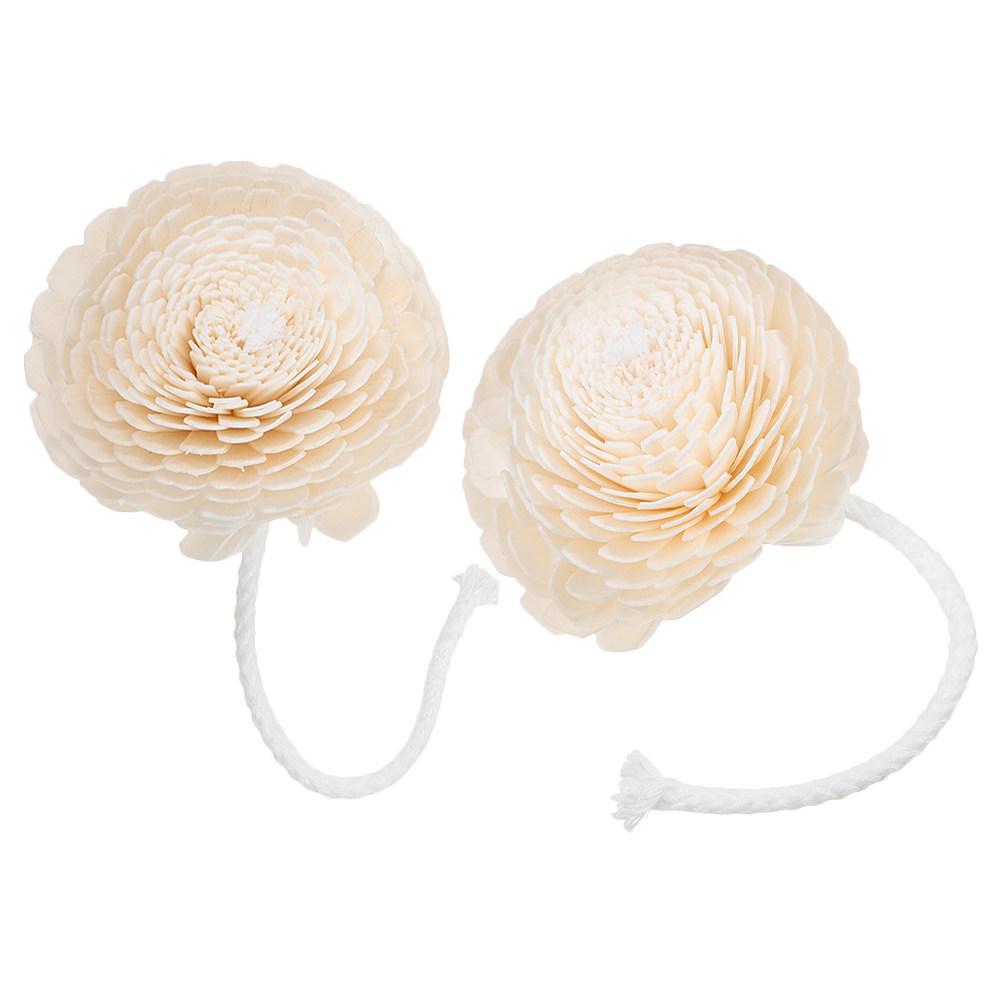 2Pcs Fragrance Bottle Diffuser - مراجعة Home Fragrance Flowers وسعره