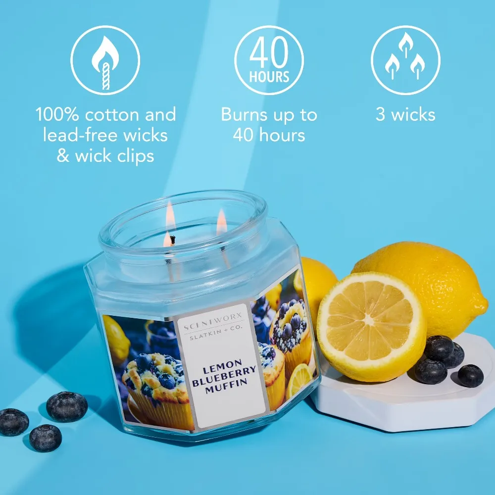 Large 14.5 Ounce Lemon Blueber - مراجعة Home Fragrance Blueberry Scented Candle وسعره