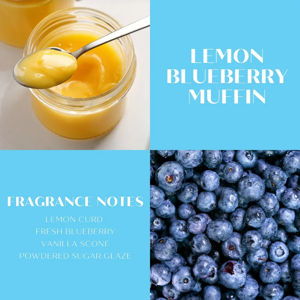 Large 14.5 Ounce Lemon Blueber - مراجعة Home Fragrance Blueberry Scented Candle وسعره